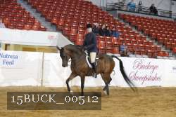15BUCK_00512 proof