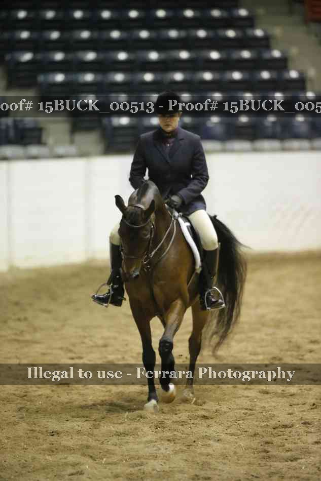 Proof 15BUCK_00513