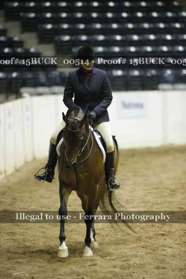 Proof 15BUCK_00514