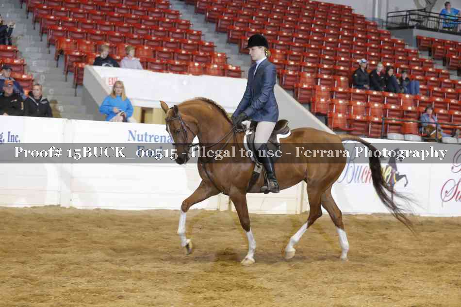 Proof 15BUCK_00515