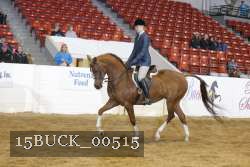 15BUCK_00515 proof