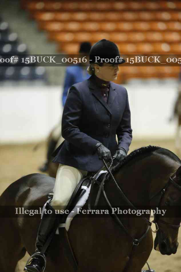 Proof 15BUCK_00516