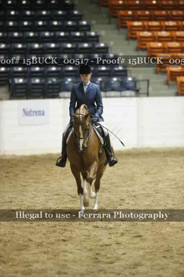Proof 15BUCK_00517