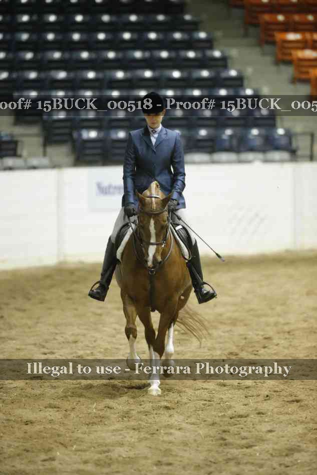 Proof 15BUCK_00518