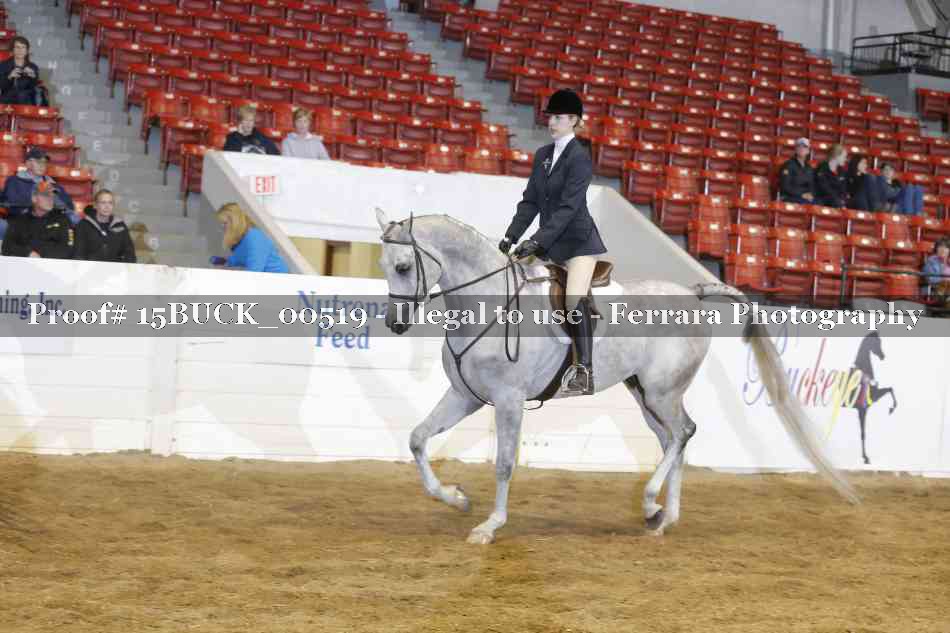Proof 15BUCK_00519