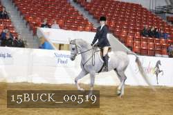 15BUCK_00519 proof