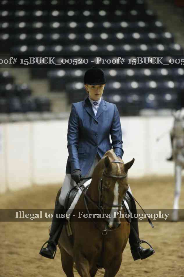 Proof 15BUCK_00520