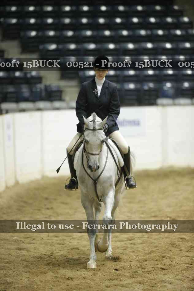 Proof 15BUCK_00521