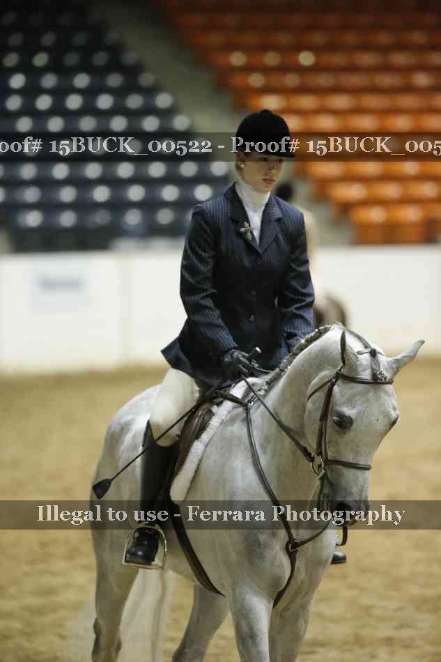 Proof 15BUCK_00522