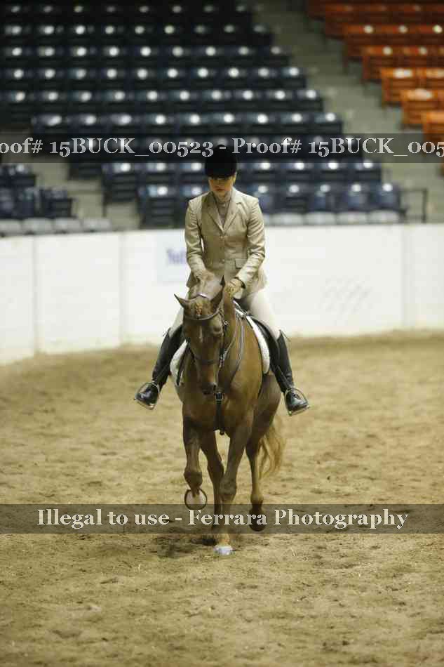 Proof 15BUCK_00523