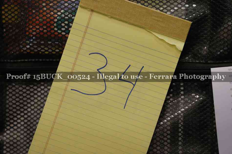 Proof 15BUCK_00524