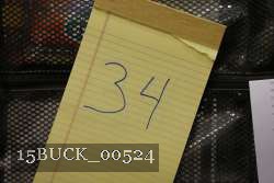 15BUCK_00524 proof