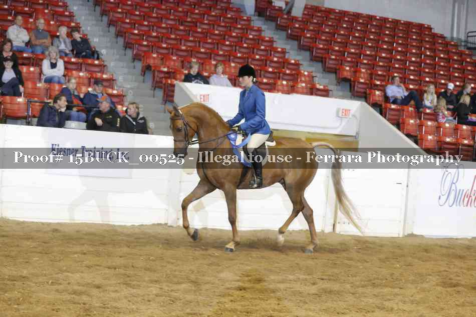 Proof 15BUCK_00525