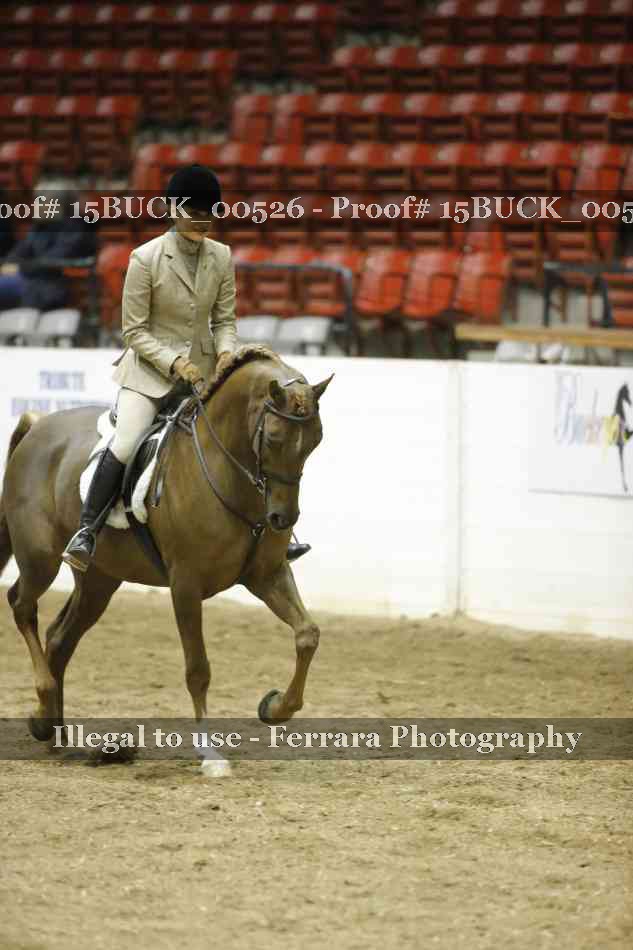 Proof 15BUCK_00526