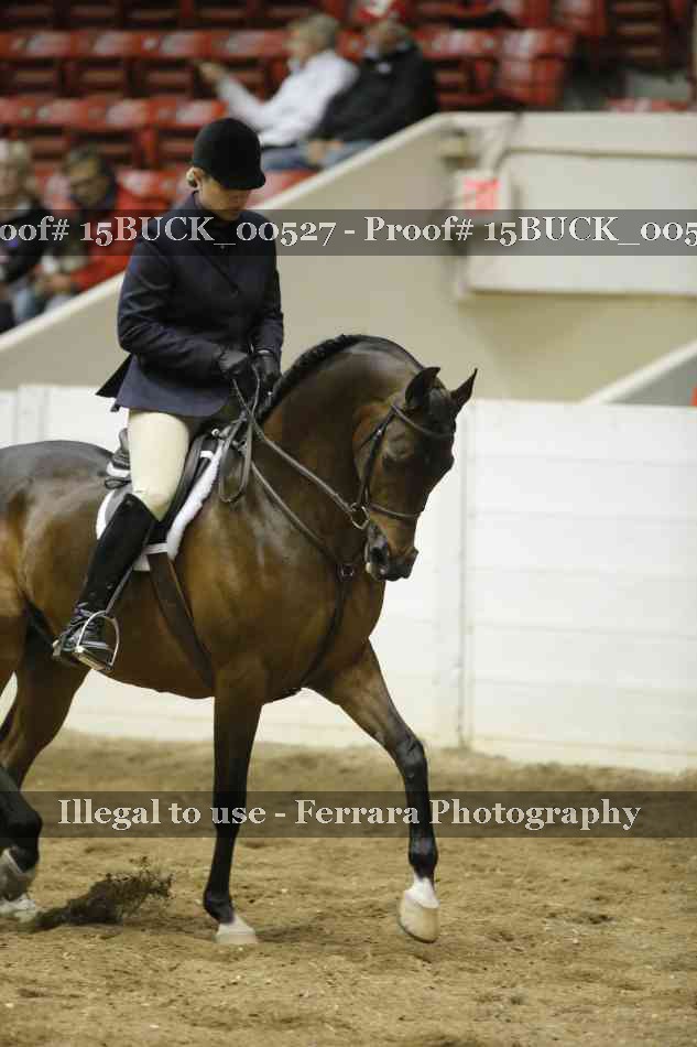 Proof 15BUCK_00527