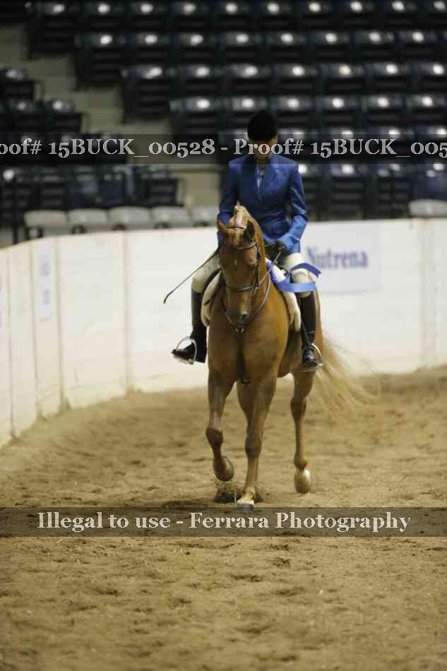 Proof 15BUCK_00528