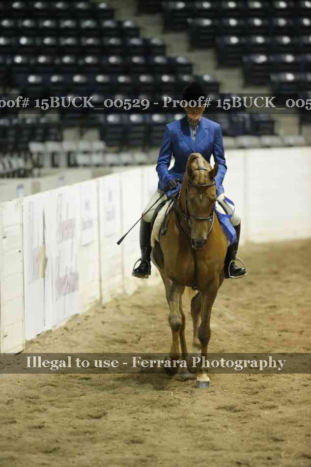 Proof 15BUCK_00529