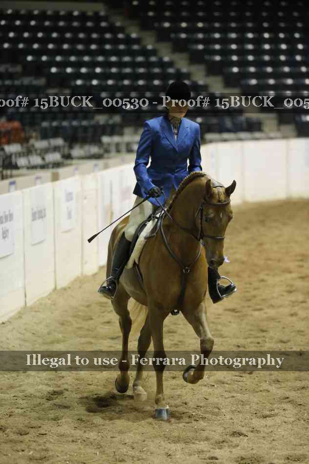 Proof 15BUCK_00530