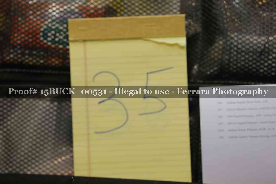 Proof 15BUCK_00531