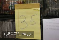 15BUCK_00531 proof