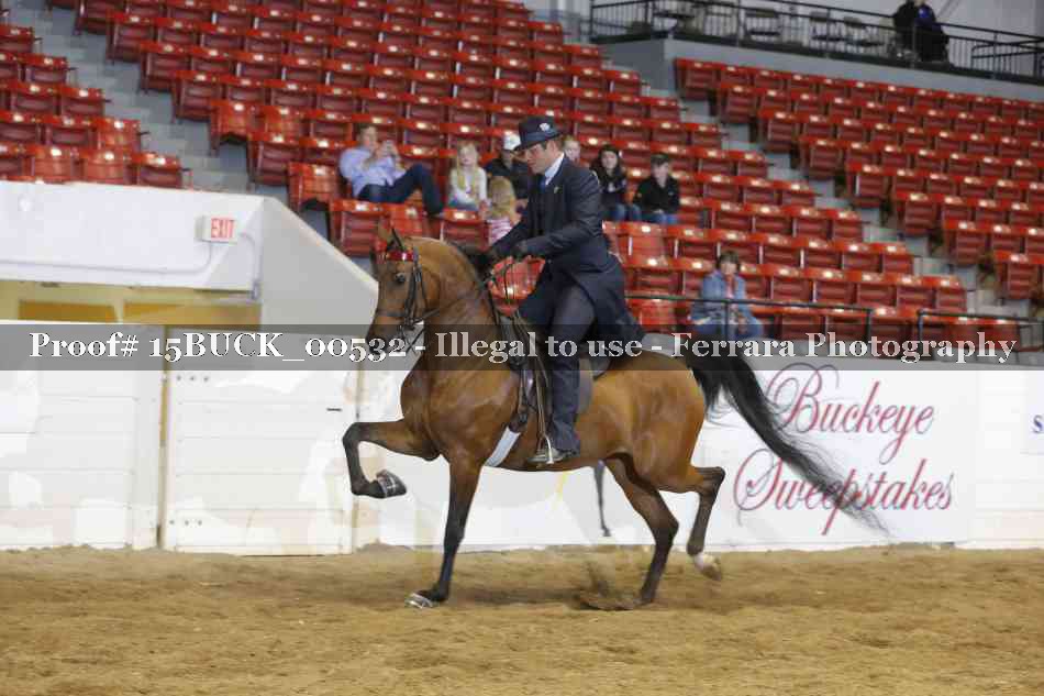 Proof 15BUCK_00532