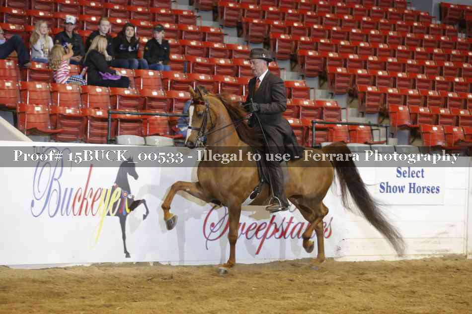 Proof 15BUCK_00533