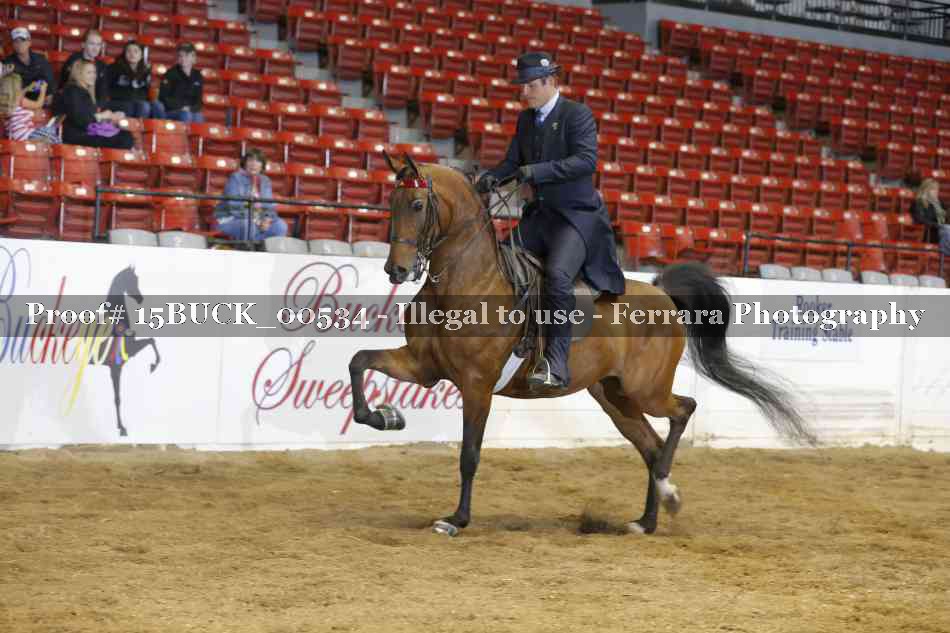 Proof 15BUCK_00534
