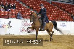 15BUCK_00534 proof