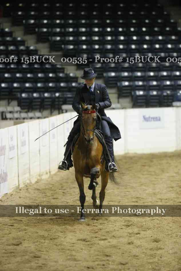 Proof 15BUCK_00535