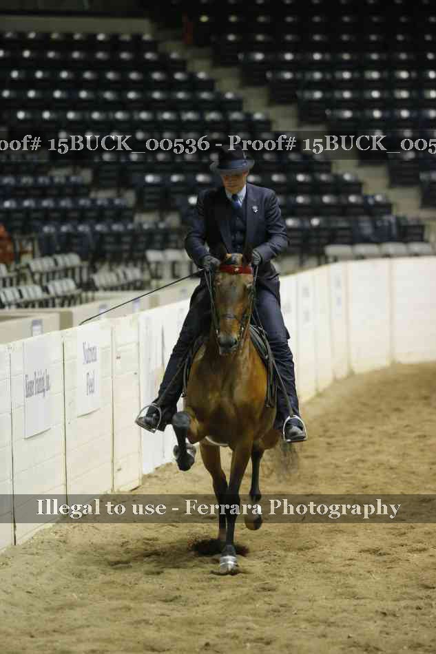 Proof 15BUCK_00536