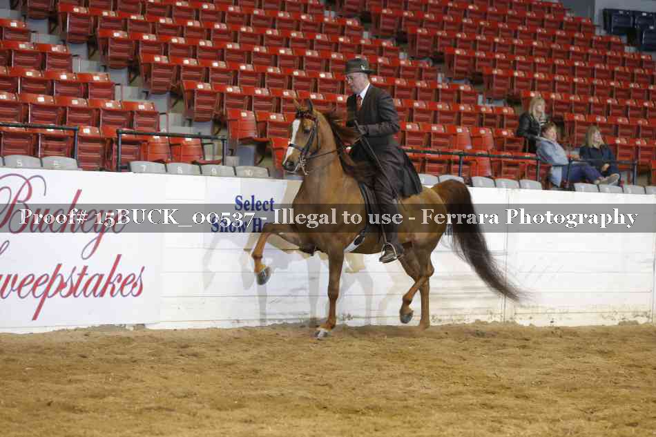 Proof 15BUCK_00537