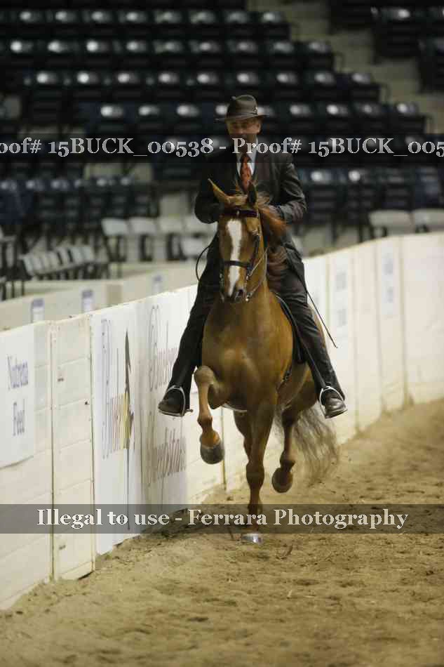 Proof 15BUCK_00538