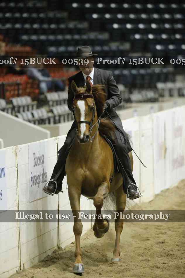 Proof 15BUCK_00539