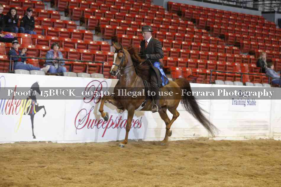 Proof 15BUCK_00540