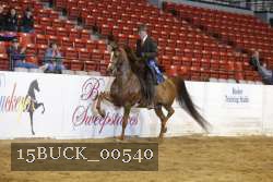 15BUCK_00540 proof