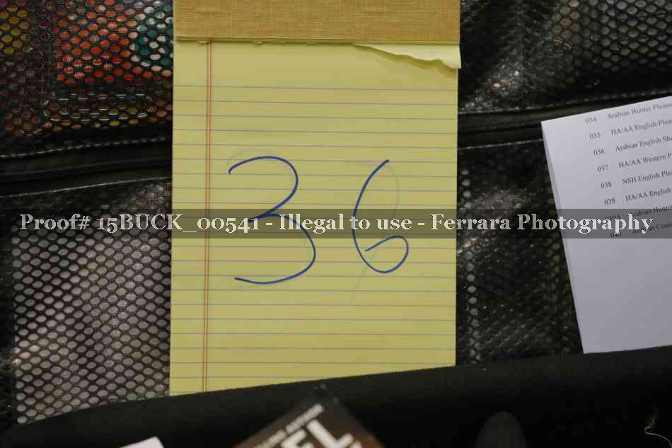 Proof 15BUCK_00541