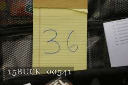 15BUCK_00541 proof