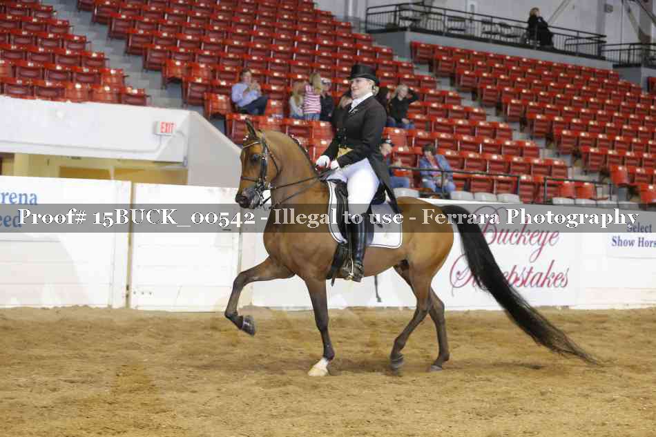 Proof 15BUCK_00542
