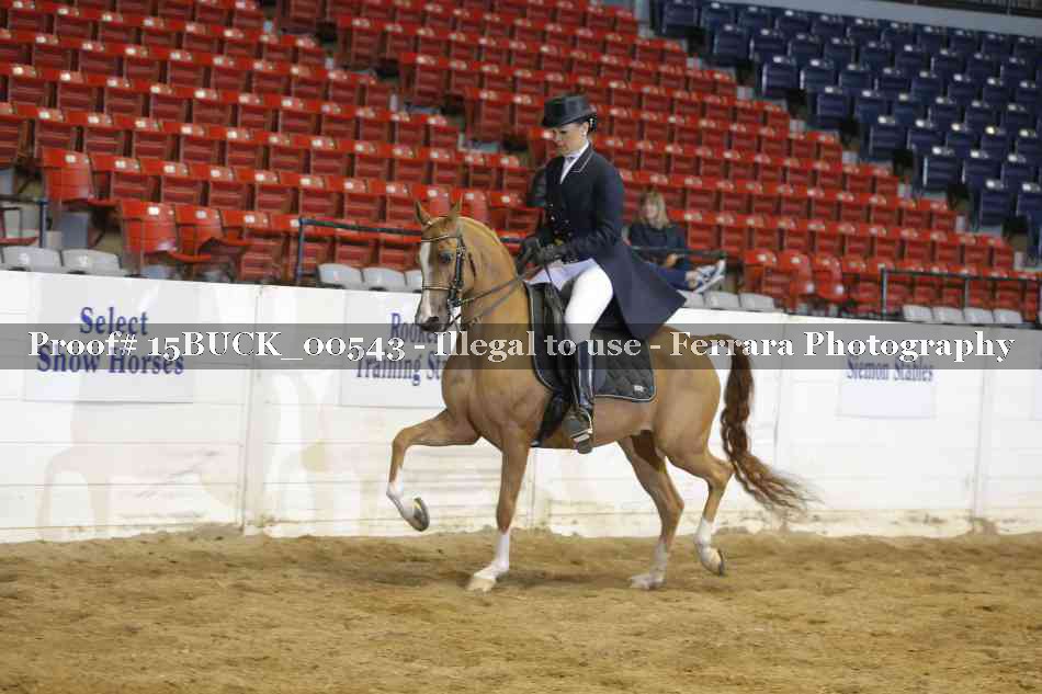 Proof 15BUCK_00543