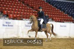 15BUCK_00543 proof