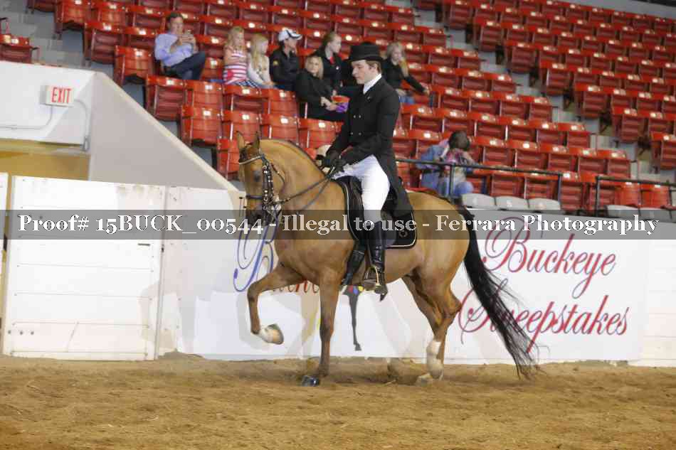 Proof 15BUCK_00544