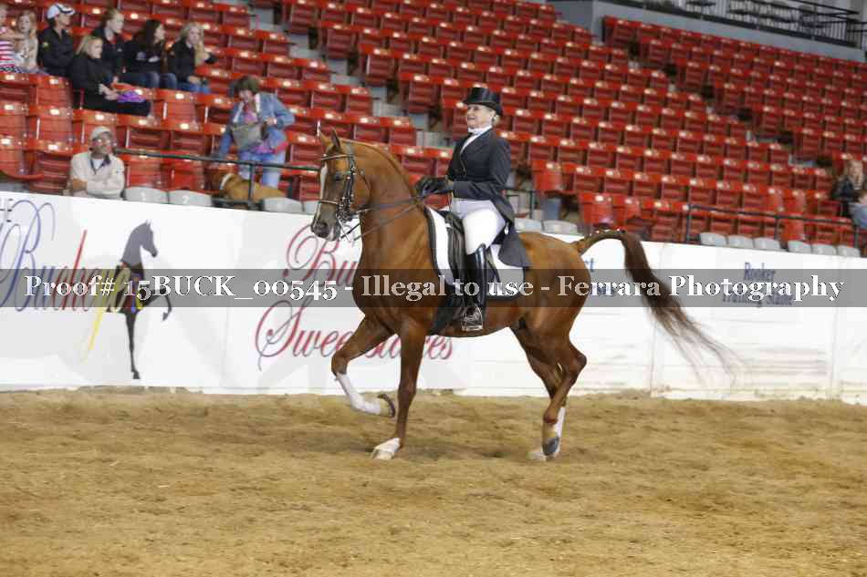 Proof 15BUCK_00545