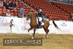 15BUCK_00545 proof