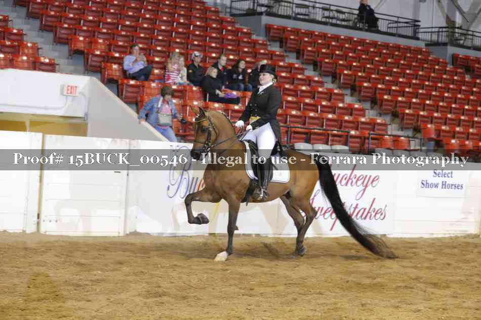 Proof 15BUCK_00546