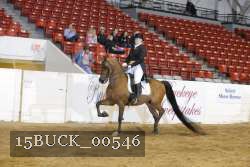 15BUCK_00546 proof