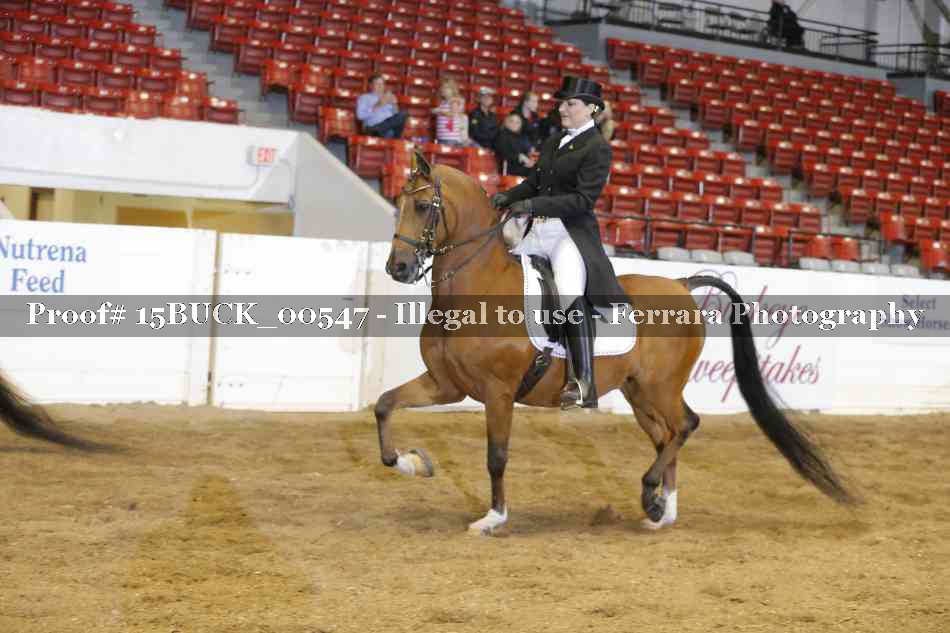 Proof 15BUCK_00547