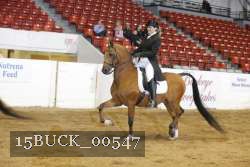 15BUCK_00547 proof