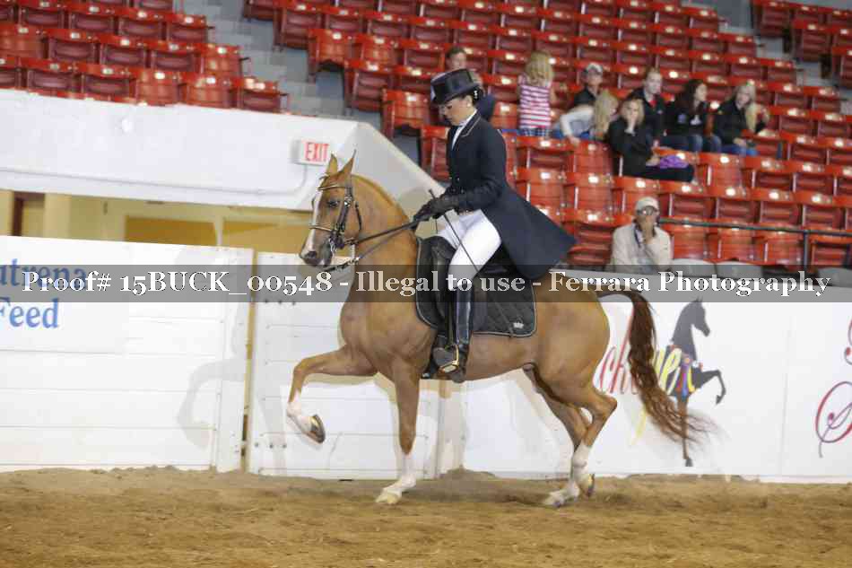 Proof 15BUCK_00548