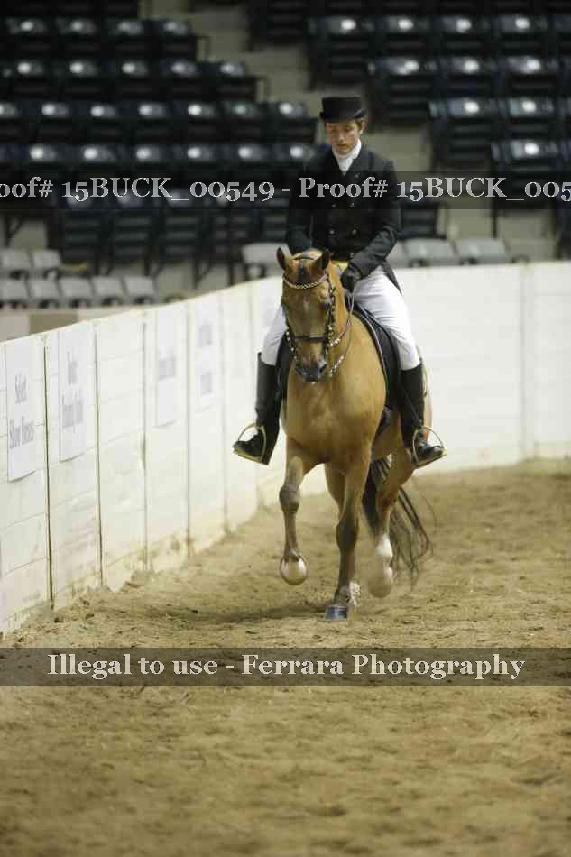 Proof 15BUCK_00549