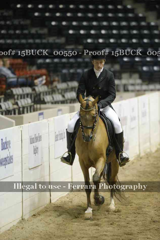 Proof 15BUCK_00550